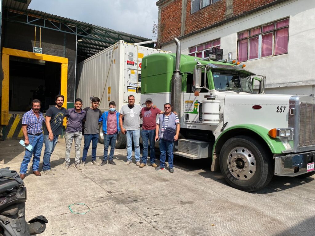 Mexican Hass Avocado exported to Jebel Ali