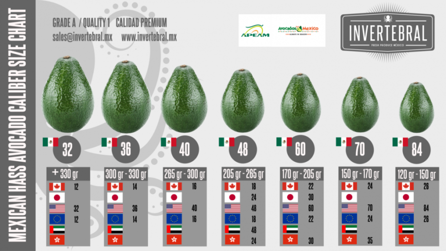 2021 Mexican Hass Avocado Caliber Size Export Chart