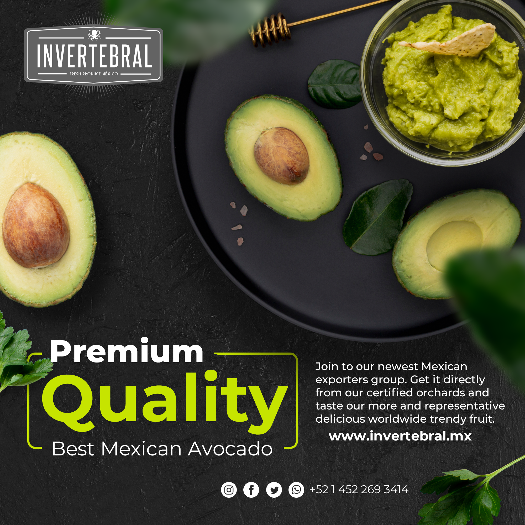 Mexican Hass Avocado 2021 export sizes caliber international chart -  Invertebral México