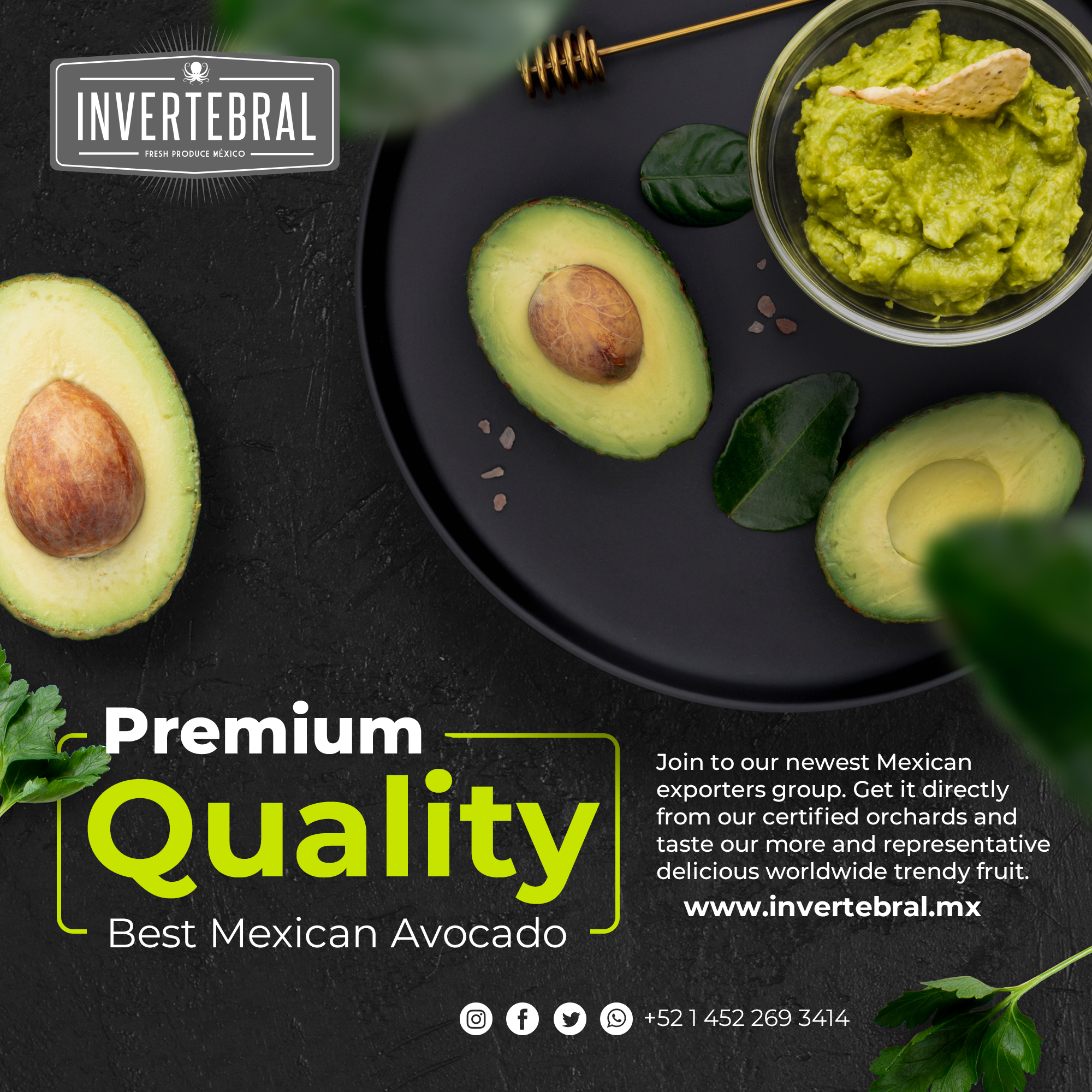 Mexican Hass Avocado 2021 export sizes caliber international chart