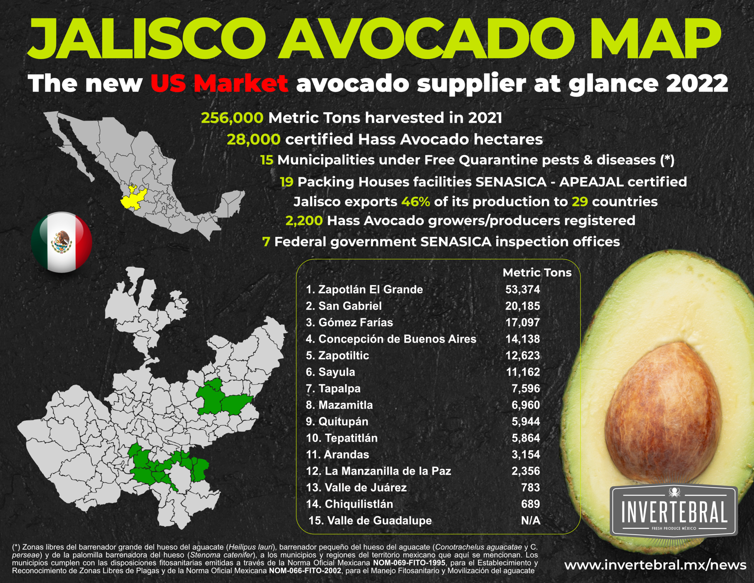 The Jalisco state avocado industry at glance 2022