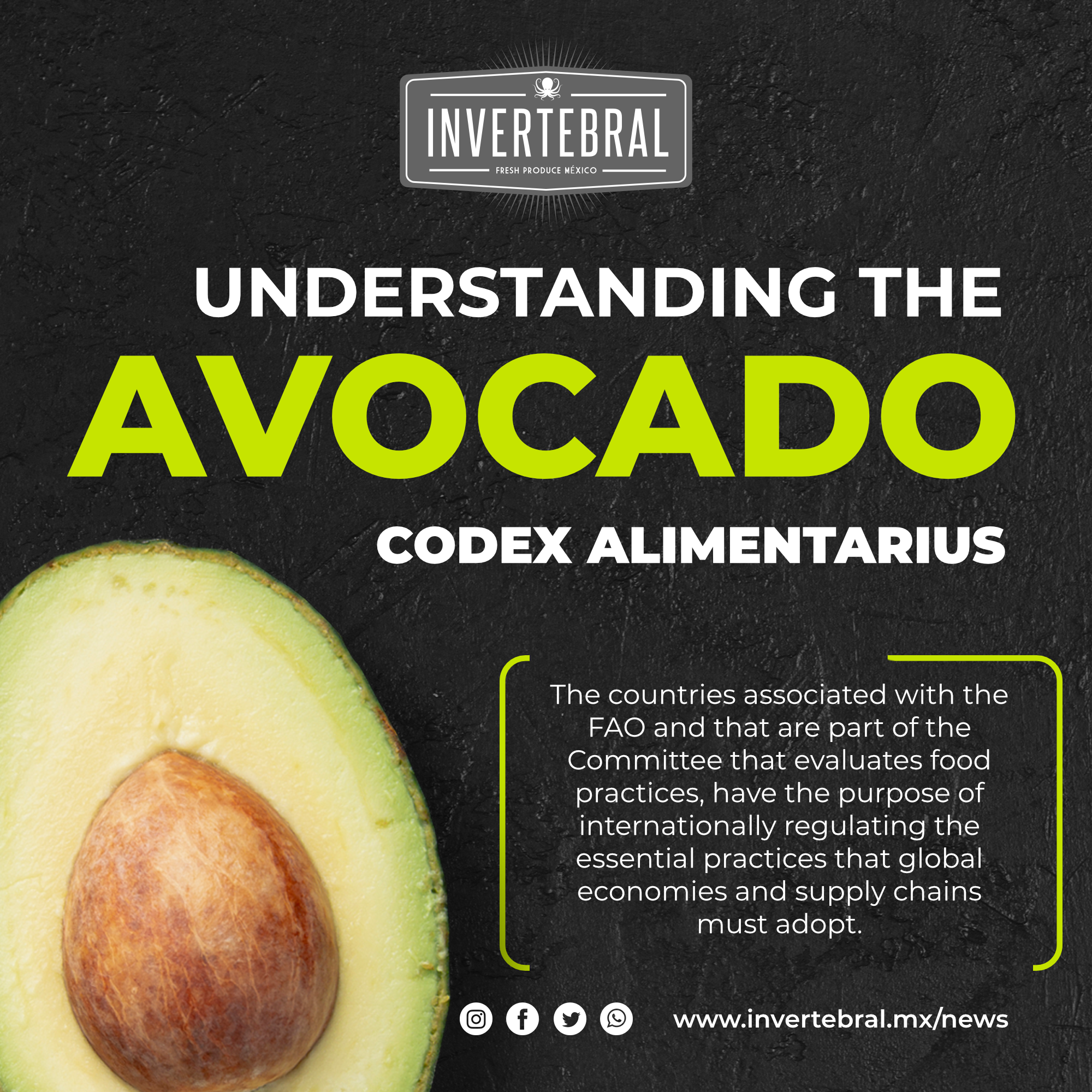 Avocado 101: The international avocado Codex Alimentarius guideline